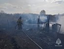 Из-за детских игр в Башмаковском районе погибли 15 телят