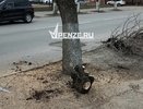 «Когда это успели оболванить Ленинградскую?»: рядом с элитным ЖК на Западной Поляне внезапно исчезли деревья