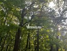 С марта 2025 года почти 100 юных пензенцев покусали клещи
