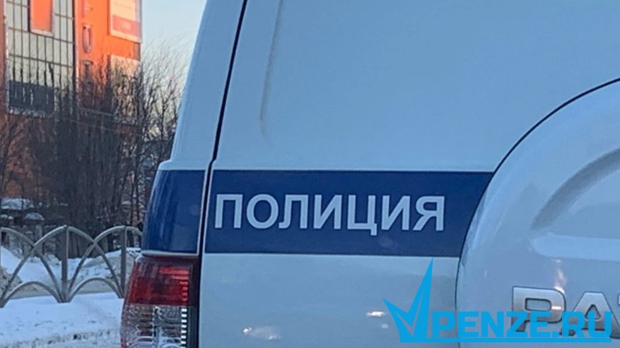 Главная картинка новости: Пензенские полицейские в ходе профилактической операции составили более 460 административных протоколов
