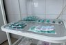 Миниатюра новости: Участниками акции «Отзвуки Победы в донорских сердцах» стали более 500 пензенцев