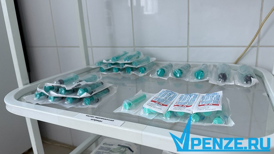 Главная картинка новости: Участниками акции «Отзвуки Победы в донорских сердцах» стали более 500 пензенцев
