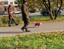 В Вадинске стартовали работы по благоустройству парковой зоны