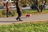 Миниатюра новости: В Вадинске стартовали работы по благоустройству парковой зоны