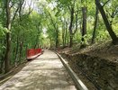 В Пензе обработали от клещей Тропу здоровья и Учительский сквер