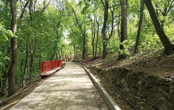 В Пензе обработали от клещей Тропу здоровья и Учительский сквер