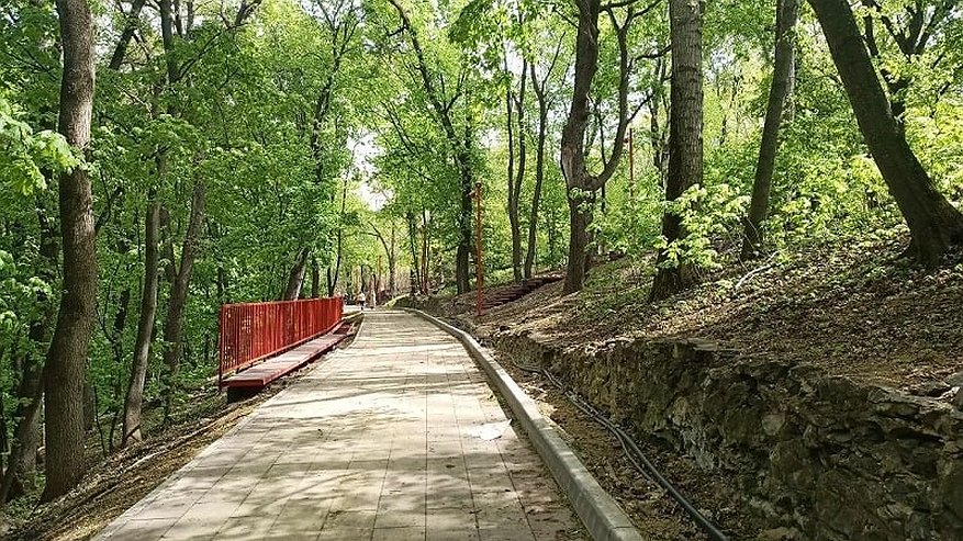 Главная картинка новости: В Пензе обработали от клещей Тропу здоровья и Учительский сквер