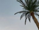 Турция уже прошлый век - коллега рассказала про новый курорт: летим всей семьей в июне