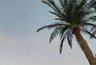 Миниатюра новости: Турция уже прошлый век - коллега рассказала про новый курорт: летим всей семьей в июне