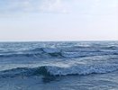 "Купаться невозможно, будете сидеть на берегу": Черное море преподнесло полноценно новый сюрприз отдыхающим