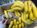 Банановую кожуру посыпаю солью — весь май не нарадуюсь своей хитрости: простой лайфхак для ленивых дачников