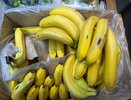 Один банан в день и всё: вот почему во Франции всё меньше людей едят фрукты и овощи
