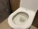Отмыла унитаз копеечным средством всего за 3 минуты и никакой мороки - хитрость рассказал бывалый сантехник