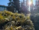 Ночью заморозки до - 5, днем ливни: Вильфанд дал точный прогноз на конец мая