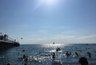 Миниатюра новости: Началось: отдыхающие на Черном море рассказывают про неприятные наблюдения - но не про цены и мазут