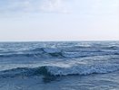 «Вонючее море и мерзкие люди»: российские туристы оставили честный отзыв об отдыхе на черноморских курортах