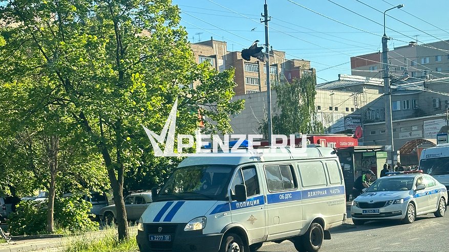 Главная картинка новости: Житель Сердобского района избил битой знакомого родственницы