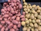Держу пакет картошки всегда в морозилке и подругам советую: показываю рецепт, о котором мало кто знает