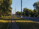 Каким будет лето 2025 после аномально теплой зимы: эксперты рассказали, к чему нужно готовиться всем садоводам и горожанам
