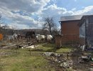 Карбид и сода не нужны: бросаю пучок ботвы в выгребную яму и глазам не верю — вонь исчезает, а вода уходит без откачки