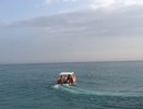 "Купаться невозможно, придется сидеть на берегу": Черное море преподнесло неприятный сюрприз отдыхающим