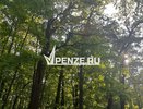 От нападения клещей в 2025 году пострадали 287 юных пензенцев