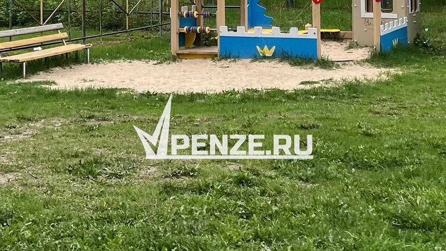 Главная картинка новости: Пензенские подростки подожгли тополиный пух на ул. Захарова