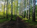 С 5 июня будет полностью запрещён отдых на природе: любителям чистого воздуха придётся поискать другие места