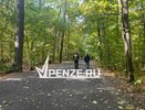 Пензенца на отдыхе в другом регионе укусил энцефалитный клещ