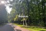 Миниатюра новости: В Пензе отметили День велосипедиста гонкой