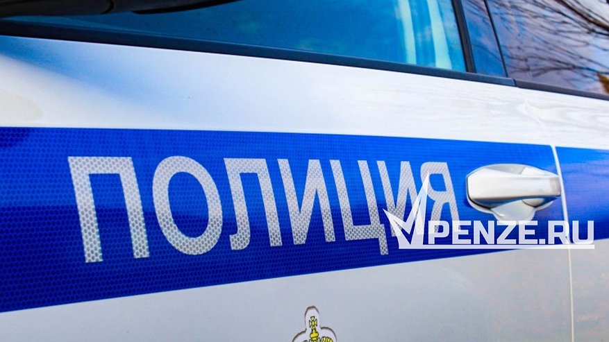 Главная картинка новости: В Мокшанском районе сбили лося: животное погибло