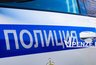 Миниатюра новости: В Мокшанском районе сбили лося: животное погибло