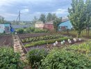 Траву на дорожках не рву и ничем не опрыскиваю: одна секунда — и сорняков нет — жаль, раньше не догадался так делать