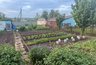 Миниатюра новости: Траву на дорожках не рву и ничем не опрыскиваю: одна секунда — и сорняков нет — жаль, раньше не догадался так делать