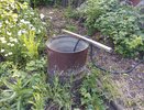 2 ст. л в бочку 200 л — и поливаю все подряд: огурцы и томаты прут так, что не остановить — эффект уже через 7 дней