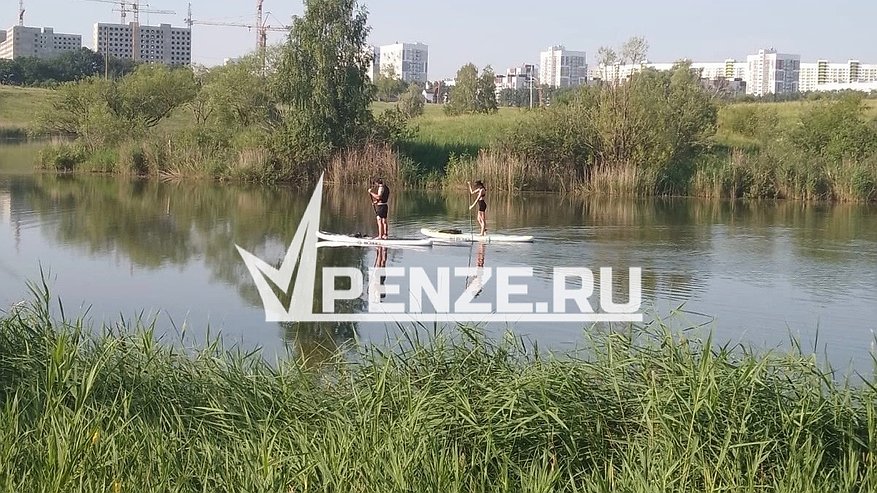 Главная картинка новости: Жителям Зари пообещали благоустроить два сквера в микрорайоне