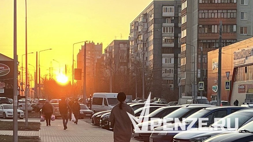 Главная картинка новости: Решение есть! Пензенский депутат назвал способ, как остановить парковочный «беспредел» в городе