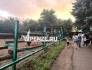 В Пензенский зоопарк привезут корову необычной породы