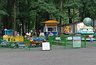 Миниатюра новости: Пензенцам рассказали, как проходит благоустройство парка Белинского