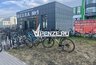 Миниатюра новости: В область поступили новые ученики по истории для школьников 5-9 классов