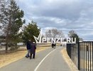 К проекту «Серебряная Пенза» присоединились около 300 пенсионеров
