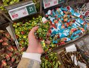 Подруга из "Пятерочки" рассказала, почему нельзя никогда покупать конфеты на развес - запомните раз и навсегда