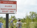 В Пензе появилась аллея  деревьев в честь выпускников Пензенского артучилища