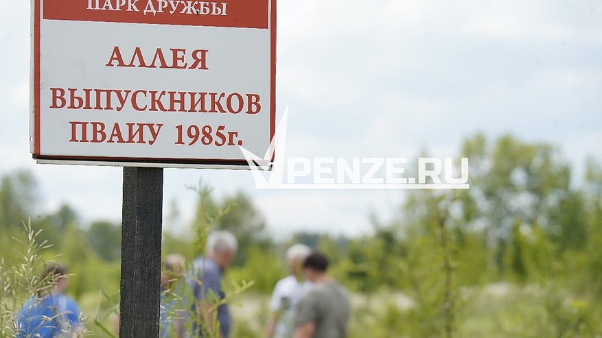 Главная картинка новости: В Пензе появилась аллея деревьев в честь выпускников Пензенского артучилища