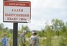 Миниатюра новости: В Пензе появилась аллея  деревьев в честь выпускников Пензенского артучилища