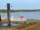 С сентября 2025 года вход на пляж с животными будет запрещен