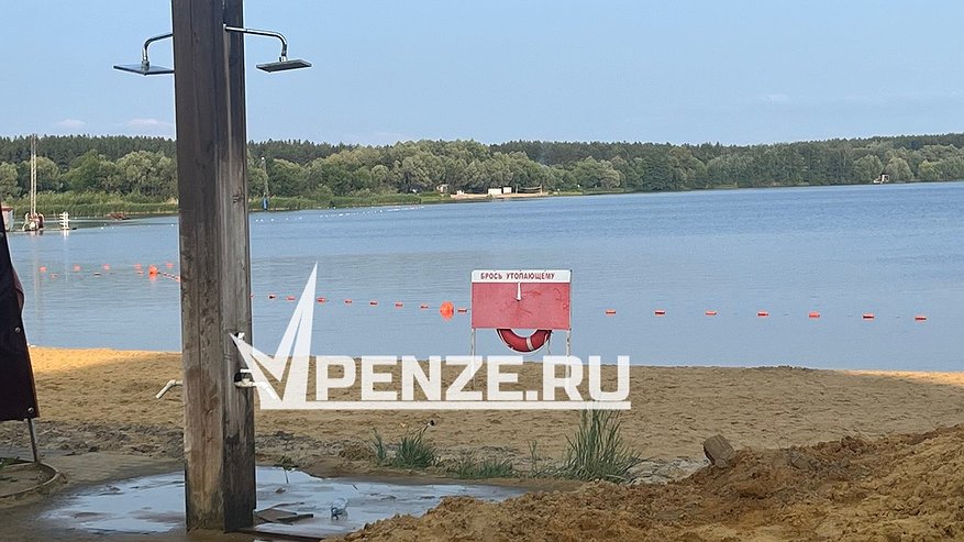 Главная картинка новости: С сентября 2025 года вход на пляж с животными будет запрещен