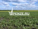 Почти 2,5 млн рублей выделят на проведение Дня поля в Каменском районе