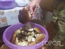 Элитный гриб, которым брезгуют многие грибники: вкусный до безумия - собираю постоянно, пока другие проходят мимо