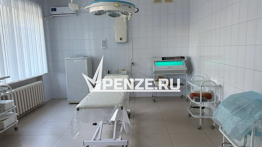 Главная картинка новости: В Пензу привезли вакцину от гепатита А